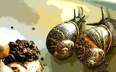 ๐ธ This ๐ฝ Alien-like NFT ๐ซ you to a ๐ polarized land ๐๏ธ of slime.