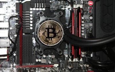 The Polygon Network On Metamask: Using Polygon NFTs on Metamask Instructions