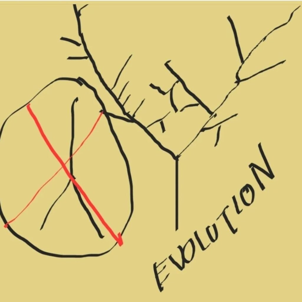 Sketch of Evolutionary Tree