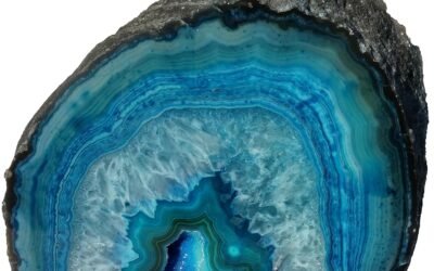 Organic Geometry, Quantum Biology, and Nanocrystalline Technology Overview of Patterns