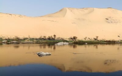 Good Trees Live Long: Nanocrystalline Solar Technology for Africa