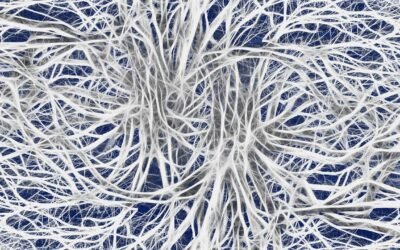 Organic Compounds And Mechanical Combustion Energy: BioFuels