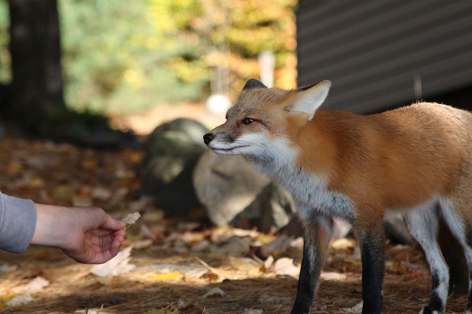 The rise of freelancing: How the gig economy is changing the way we work