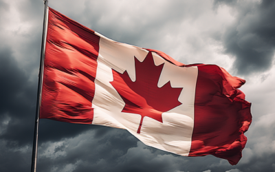 Understanding Government Structure: A Comprehensive Guide