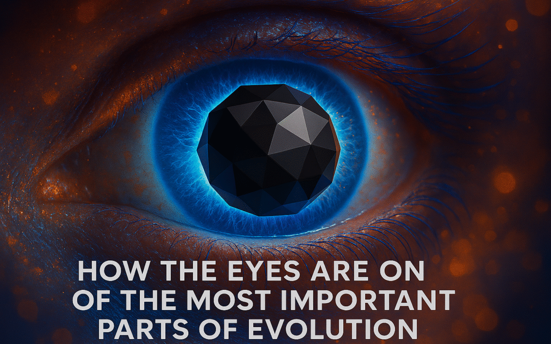 how the eyes are one of the most important parts of evolution
