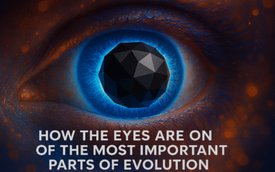 How the Eyes Are One of the Most Important Parts of Evolution