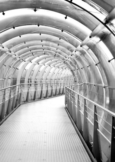 Unpacking the Hype: What Makes a Successful NFT Stand Out in the Crowd